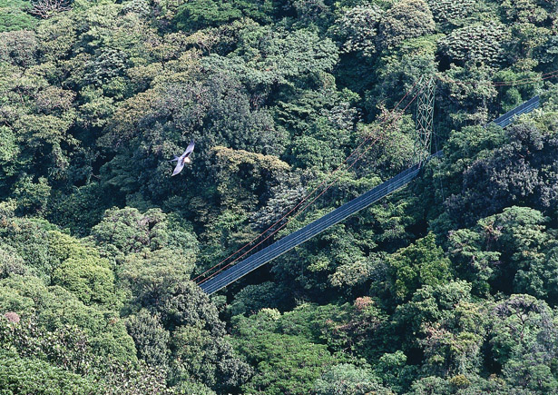 Costa Rica National Parks